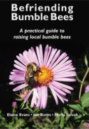 'Befriending Bumble Bees' Book