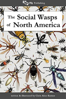 Book 'Social Wasps'